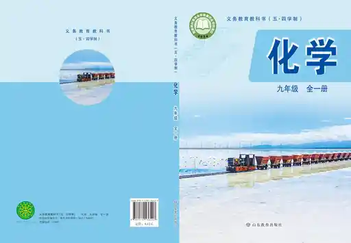 化学 鲁教版 九年级 全一册 2022版